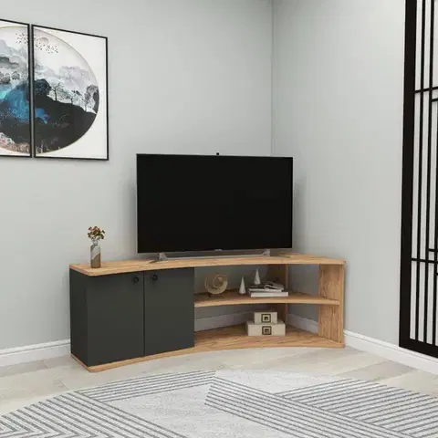 TV stolíky TV stolík Termera - Atlantic Pine, Anthracite