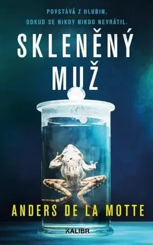 Detektívky, trilery, horory Skleněný muž - Motte de la Anders,Jaroslav Bojanovský