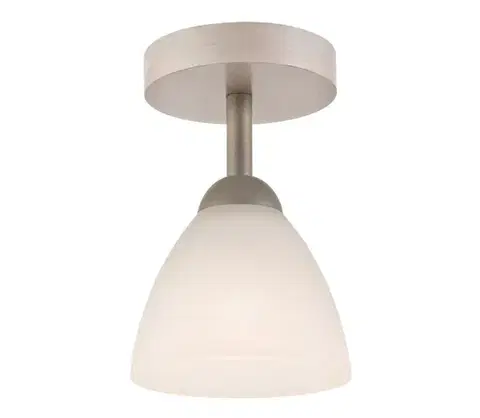 Svietidlá  Prisadený luster ADRIANO 1xE27/60W/230V LM 1.55 bialy buk