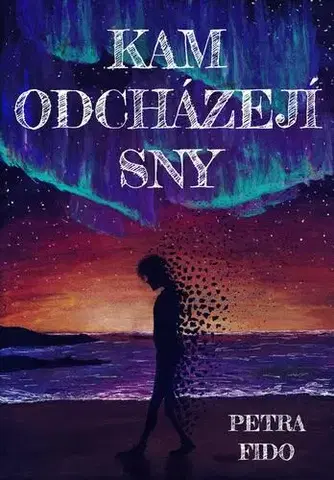 Detektívky, trilery, horory Kam odcházejí sny - Petra Fido