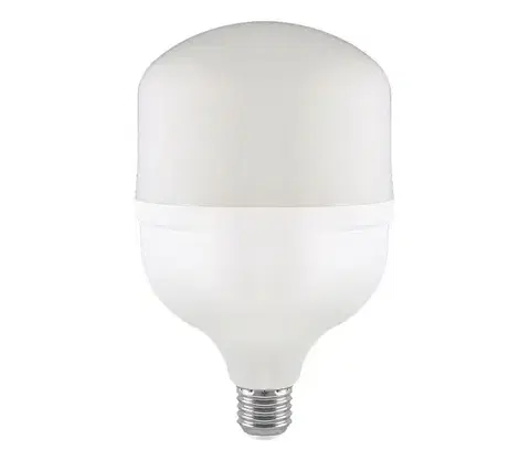 Žiarovky  LED žiarovka T160 E27/60W/230V 6500K 23577