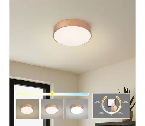 Svietidlá BRILAGI - LED stropné svietidlo POOL LED/24W/230V 3000/4000/6000K priemer 20 cm bronzové BRI1011