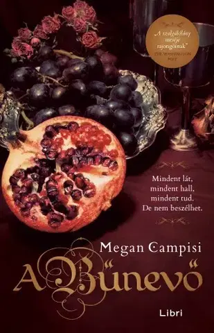 Sci-fi a fantasy A bűnevő - Megan Campisiová