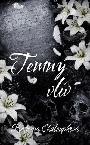 Romantická beletria Temný vliv - Kateřina Chaloupková