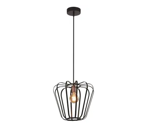 Svietidlá  Luster na lanku JONAS 1xE27/40W/230V 31-78483