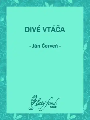 Romantická beletria Divé vtáča - Ján Červeň