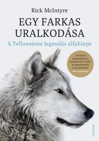 Biológia, fauna a flóra Egy farkas uralkodása - Rick McIntyre