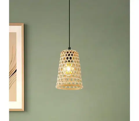 Svietidlá Eglo 43252 - Luster na lanku CLAVERDON 1xE27/40W/230V priemer 180mm 43252