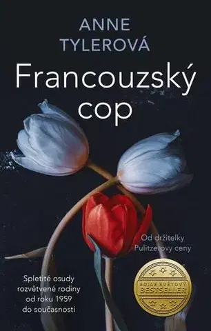 Svetová beletria Francouzský cop - Anne Tylerová