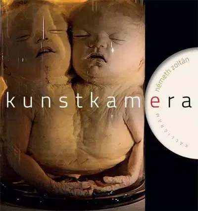 Poézia Kunstkamera - Zoltán Németh