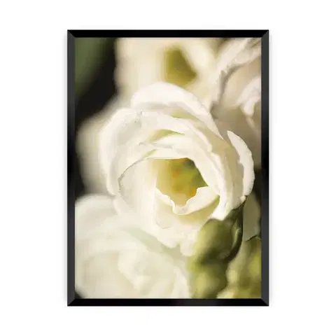 Obrazy Plagát Flower Wall