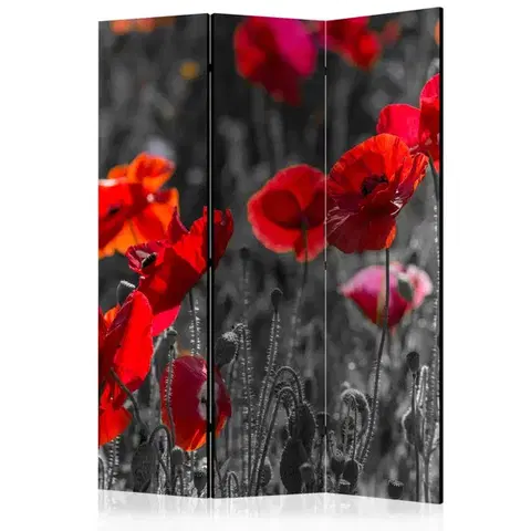 Paravány Paraván Red Poppies Dekorhome