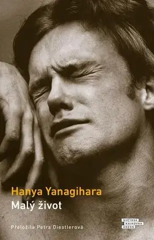 Romantická beletria Malý život - Yanagihara Hanya