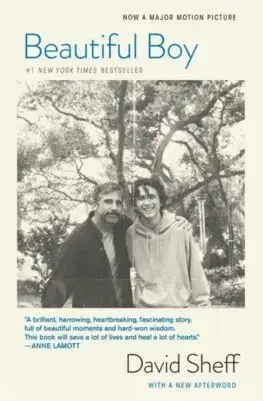 Svetová beletria Beautiful Boy (tie-In) - David Sheff