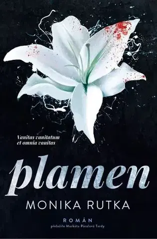 Romantická beletria Řetez 2: Plamen - Monika Rutka
