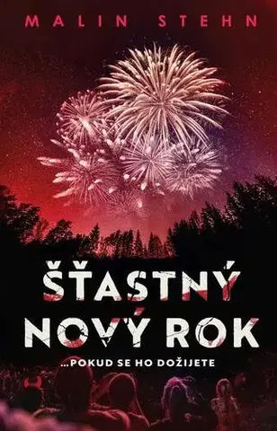 Detektívky, trilery, horory Šťastný nový rok - Malin Stehn