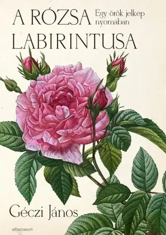 Filozofia A rózsa labirintusa - János Géczi