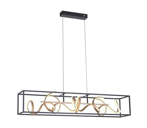 Svietidlá Paul Neuhaus 2416-18 - LED Stmievateľný luster na lanku SELINA 4xLED/10,2W/230V 2416-18