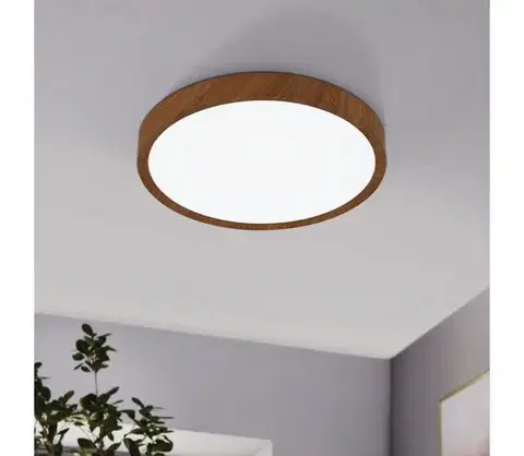 Svietidlá Eglo 98602 - LED Stropné svietidlo MUSURITA LED/33,5W/230V 98602