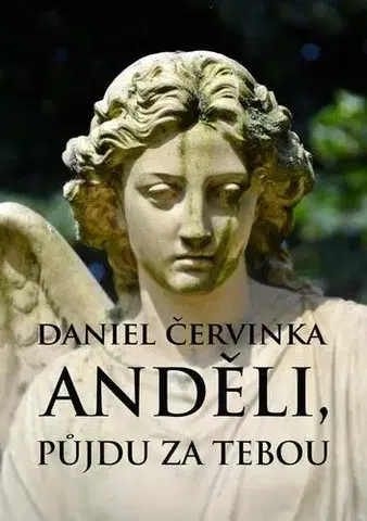 Poézia Anděli, půjdu za tebou - Daniel Červinka