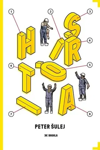 Slovenská beletria História - Peter Šulej