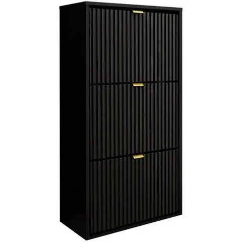 Skrinky na topánky Skrinka na topánky Laro I závesná Čierna/Čierna/ Zlatý