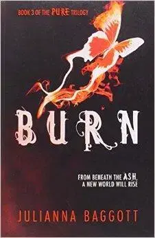 Cudzojazyčná literatúra Burn - Julianna Baggott