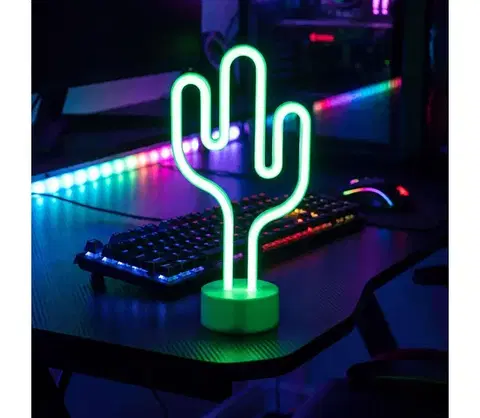 Svietidlá  LED neónová stolová dekorácia LED/2W/3xAA USB kaktus 43996C