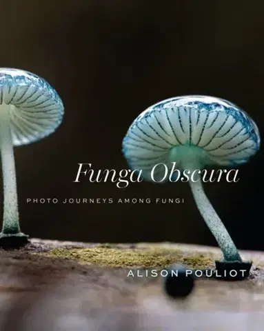 Záhrada Funga Obscura - Alison Pouliot
