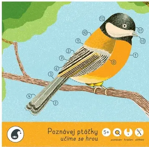 Nalepovačky, vystrihovačky, skladačky Poznávej ptáčky - omaľovanka pracovný zošit (Pipasik)