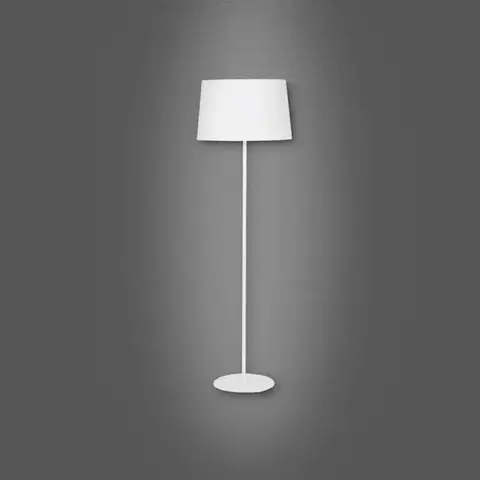 Moderné lampy do obývačky Stojacia lampa Maja 2919 LP1