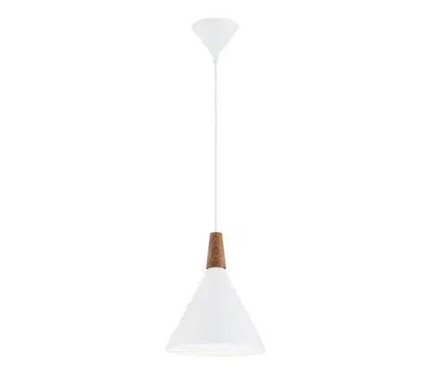 Svietidlá Argon 8630 - Luster na lanku KEGEL 1xE27/15W/230V biela 8630