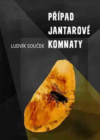 Sci-fi a fantasy Případ Jantarové komnaty - Ludvík Souček