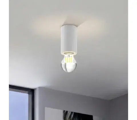 Svietidlá Eglo 99066 - Stropné svietidlo SALUZZO 1xE27/40W/230V 99066