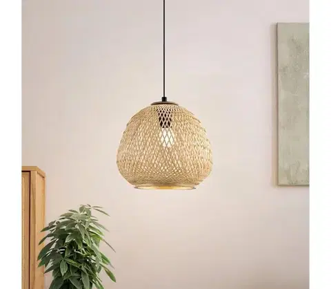 Svietidlá Eglo 43261 - Luster na lanku DEMBLEBY 1xE27/40W/230V 43261