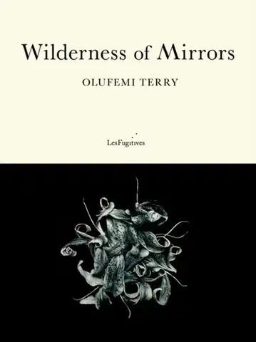 Beletria Wilderness of Mirrors - Olufemi Terry
