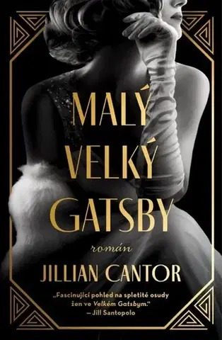 Svetová beletria Malý velký Gatsby - Jillian Cantorová