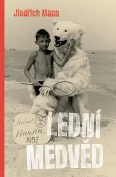 Novely, poviedky, antológie Lední medvěd - Jindřich Mann,Josef Veselka