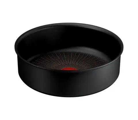 Panvice a hrnce Tefal - Panvica INGENIO Excellence Fusion 24 cm P0053553