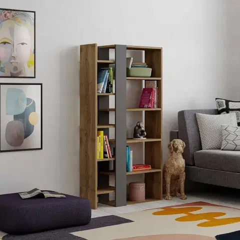 Regály Designová knižnica ZAPHIRA, orech Hit / antracit
