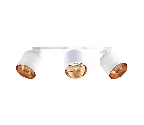 Svietidlá  Bodové svietidlo SOFIA 3xE27/60W/230V biela 0300
