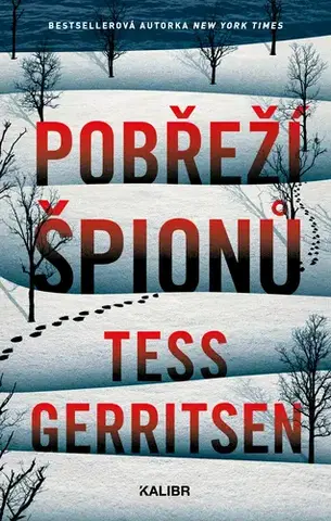Detektívky, trilery, horory Pobřeží špionů - Tess Gerritsen