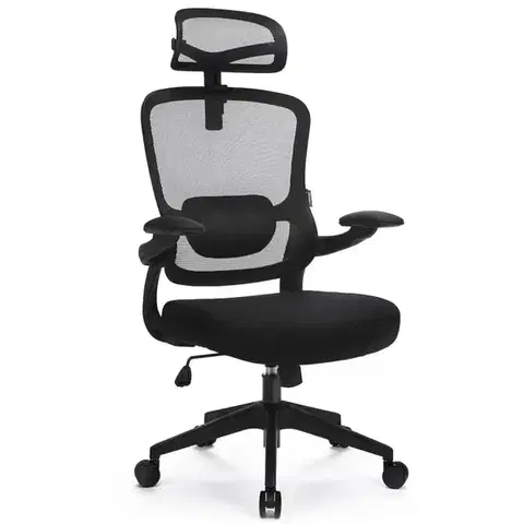 Otočné kreslá Kancelárske kreslo Ergo Basic Lv0652