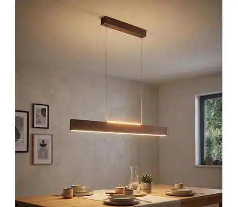Svietidlá Eglo 39347 - LED stmievateľný luster na lanku CLIMENE LED/21W/230V + LED/8,4W 39347