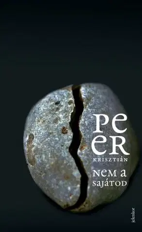 Svetová beletria Nem a sajátod - Krisztián Peer