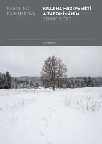 E-knihy Krajina mezi pamětí a zapomínáním - Karolína Pauknerová