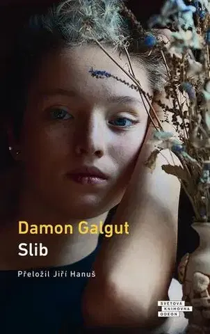 Romantická beletria Slib - Damon Galgut