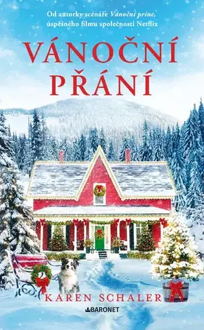 Romantická beletria Vánoční přání - Karen Schaler