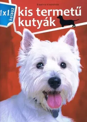 Psy, kynológia Kis termetű kutyák - 1x1 kalauz - István Bernáth