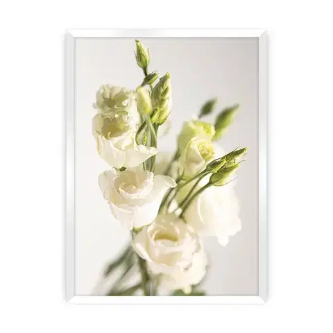 Obrazy Plagát Elegant Flowers